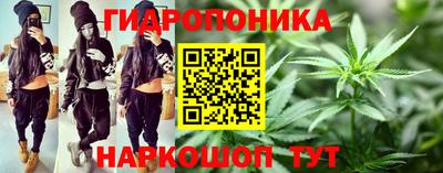 ГАЛЛЮЦИНОГЕННЫЕ ГРИБЫ Кулебаки