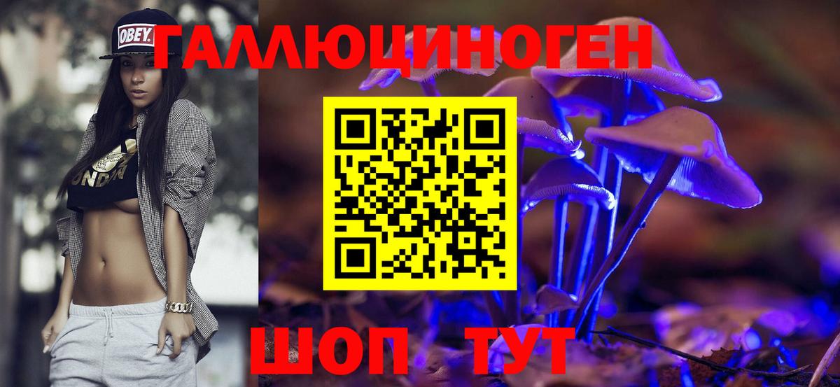 Галлюциногенные грибы Psilocybe  Вход с VPN  Ирбит 